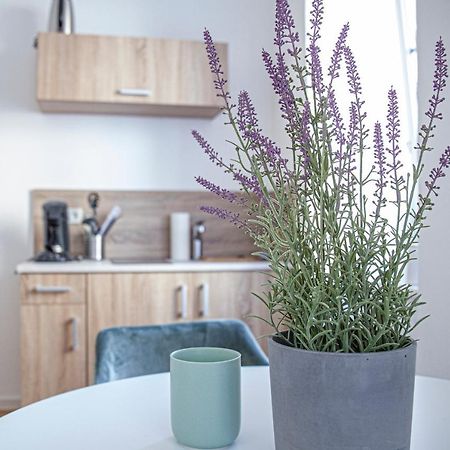 Apartment Kabinett Zell Eksteriør bilde